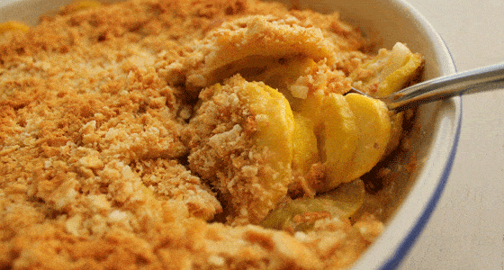 cheese-squash-casserole