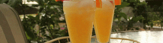 creamsicle-delight