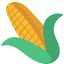 An emoji of corn on the cob.