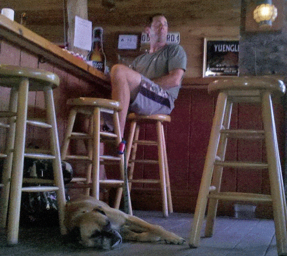 A young man with dark hair sitting on a bar stool at a bar.  A boxer dog is laying on the floor.