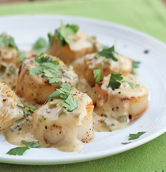 Front view of scallops topped with cream sauce and cilantro on a white plate.