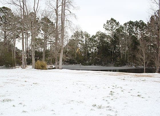 Snow on the ground in front of a partially iced pond with pine trees behind it.