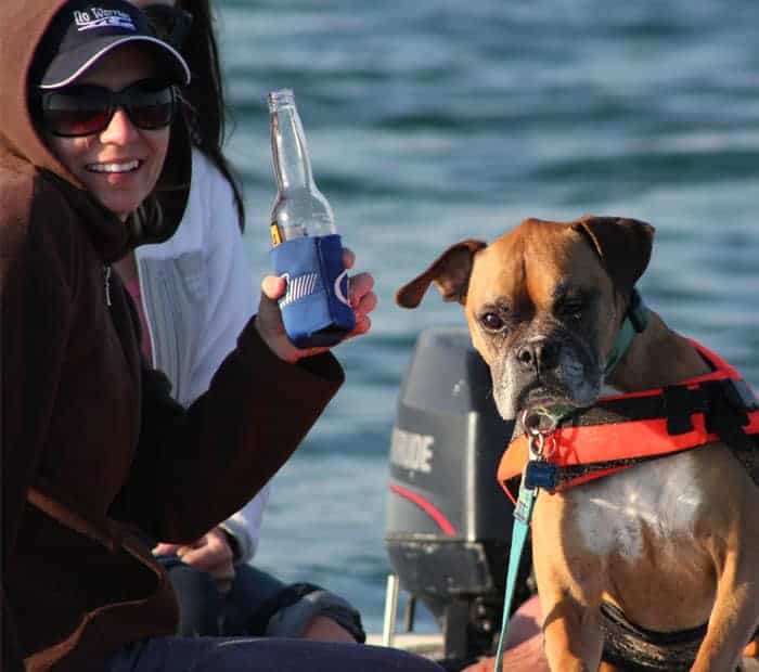 A woman with a beer in her hand and a boxer dog wearing a life preserver on a boat.