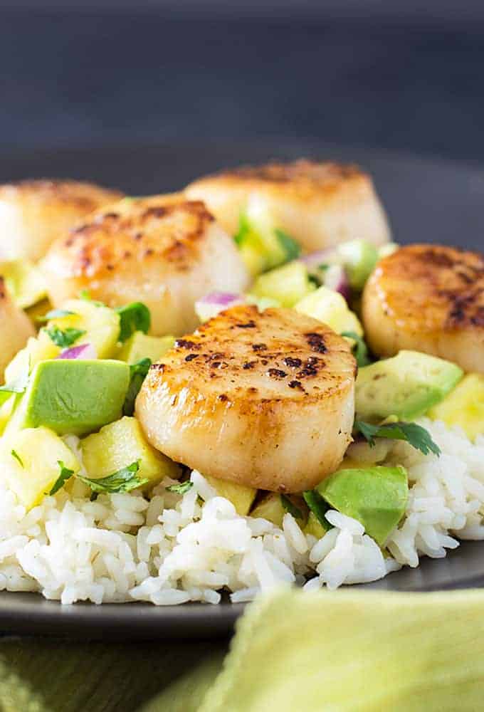 Front closeup view of seared scallops with avocado pineapple salsa over rice.