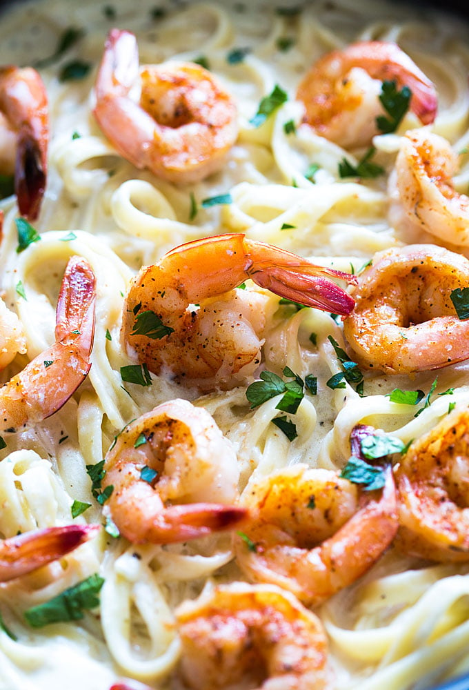 Closeup view of seasoned shrimp in pasta with Alfredo sauce.