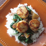 Overhead view of seared scallops with spinach over rice on a square orange plate.