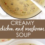 A two-image vertical collage of soup with overlay text in the center.