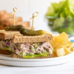 Front view of a tuna salad sandwich on a plate with chips.