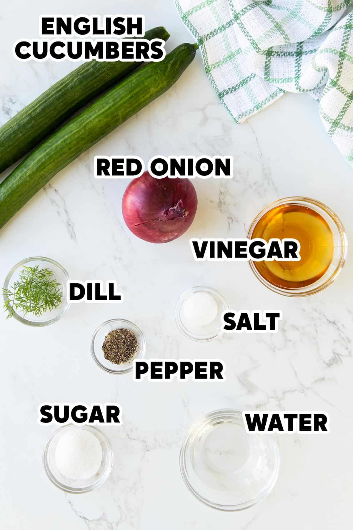 Overhead view of ingredients for cucumber and onion salad with overlay text.
