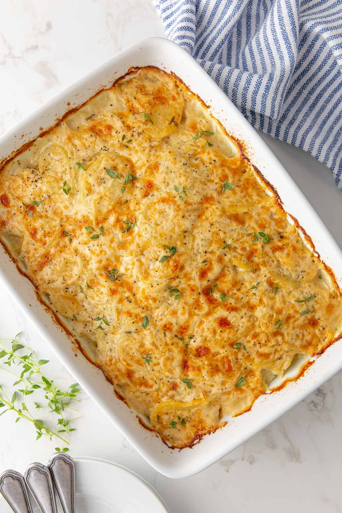 Overhead view of baked scalloped potatoes in a white baking dish.