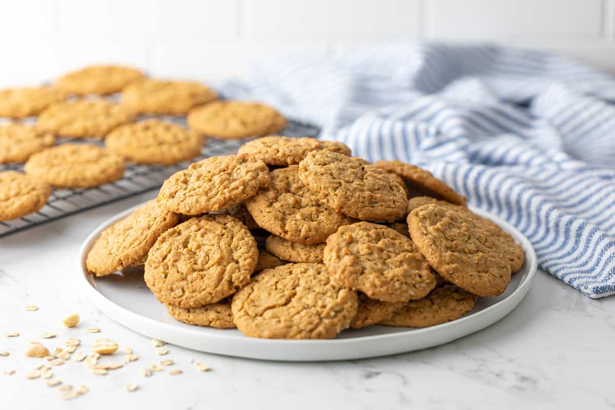 Front view of oatmeal peanut butter cookies on a white plate.