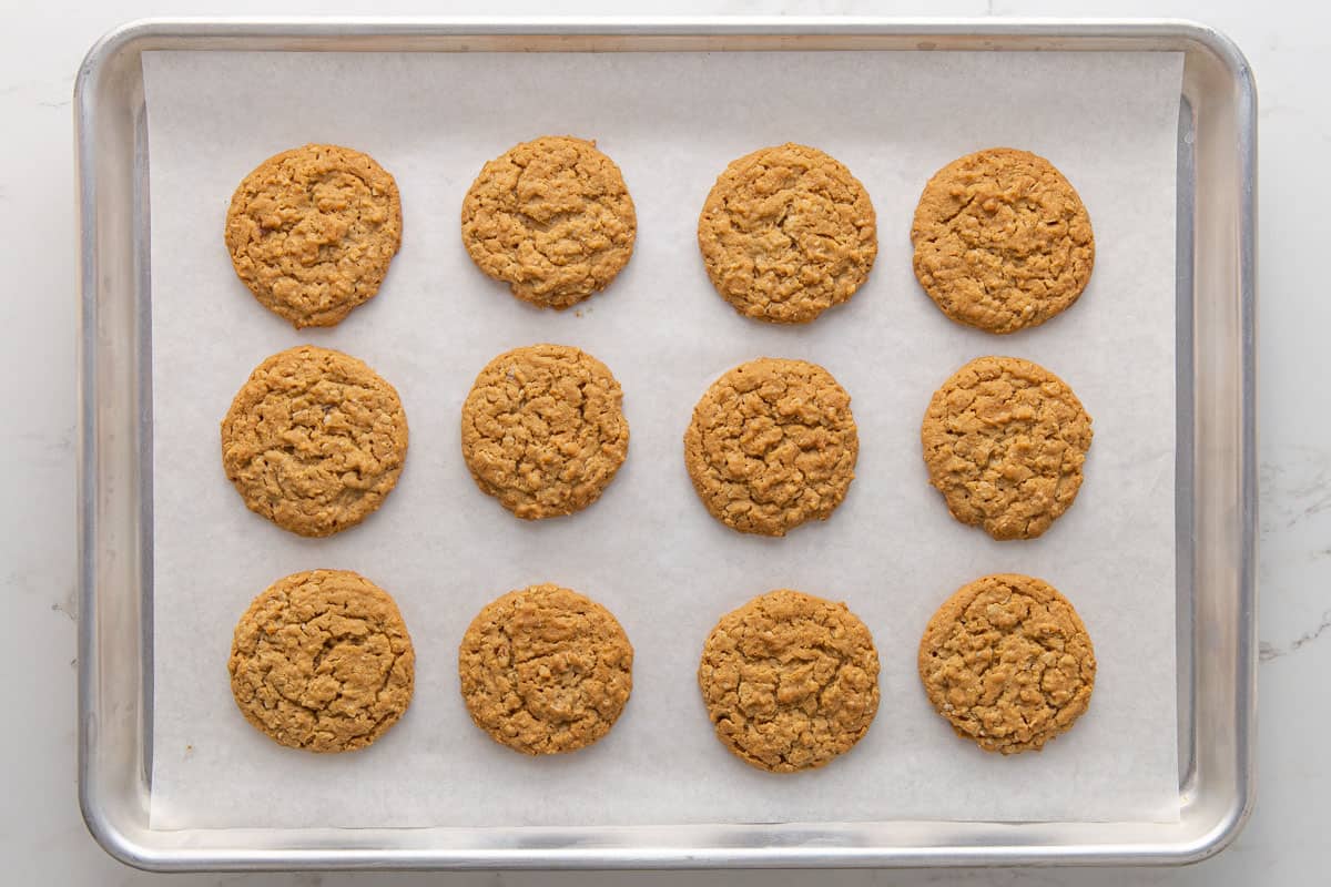 Overhead view of baked oatmeal peanut butter cookies on a baking sheet.