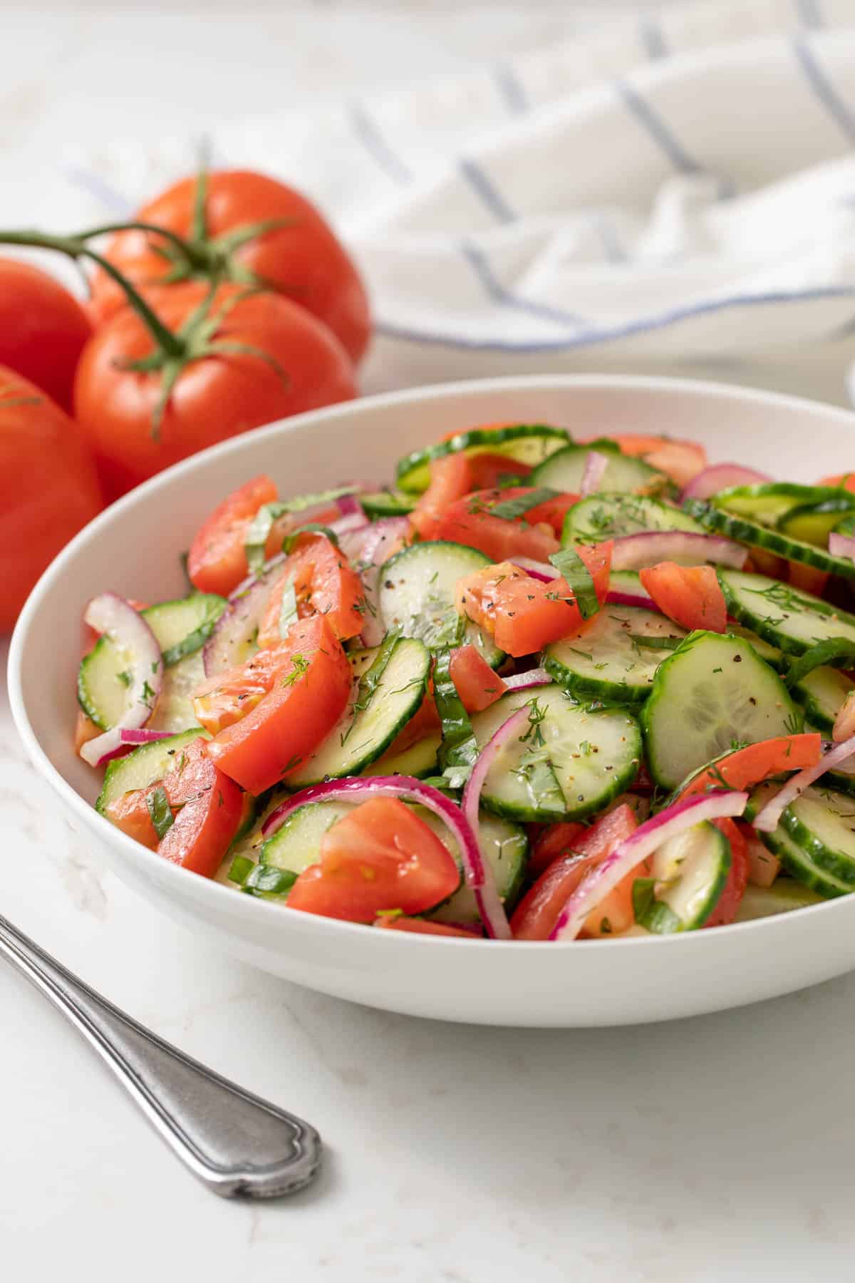 Front view of a bowl of tomato cucumber salad.