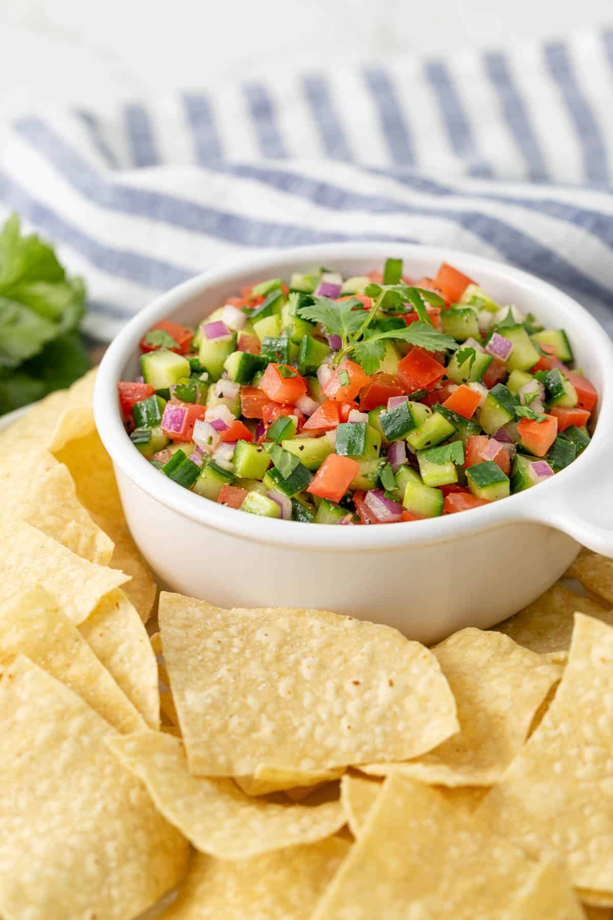 Front view of a bowl of cucumber salsa surrounded by tortilla chips.