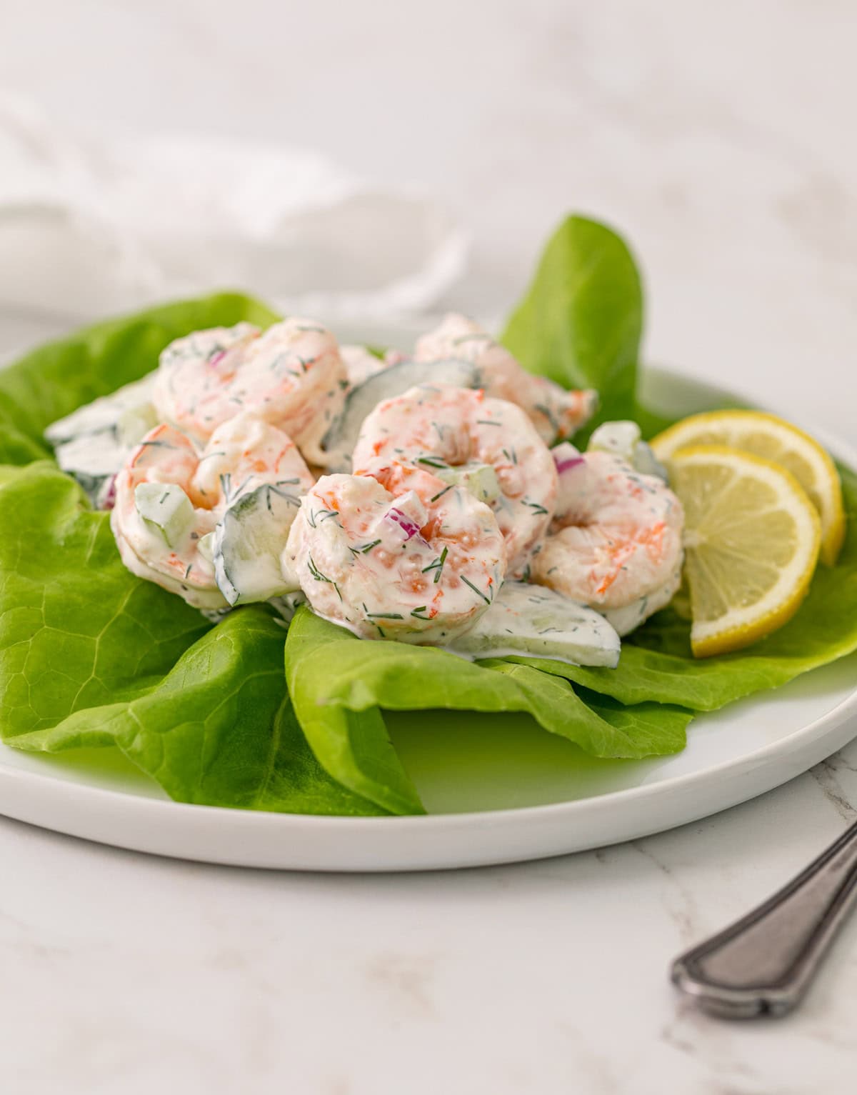 Cucumber shrimp salad on a bed of lettuce on a white plate.