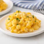 Front close up view of a crock pot cheesy potatoes on a white plate.