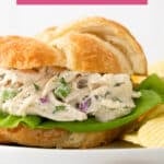 Front close up view of a chicken salad croissant. Overlay text is at the top of the image.